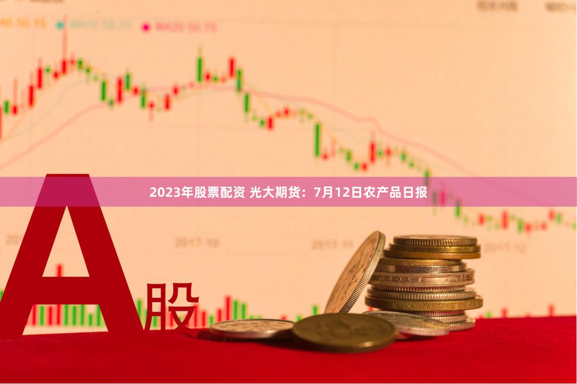 2023年股票配资 光大期货：7月12日农产品日报