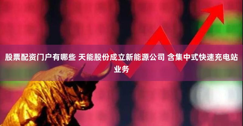 股票配资门户有哪些 天能股份成立新能源公司 含集中式快速充电站业务