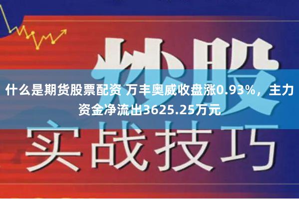 什么是期货股票配资 万丰奥威收盘涨0.93%，主力资金净流出3625.25万元