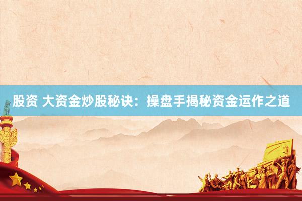 股资 大资金炒股秘诀：操盘手揭秘资金运作之道